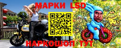 a pvp Новозыбков