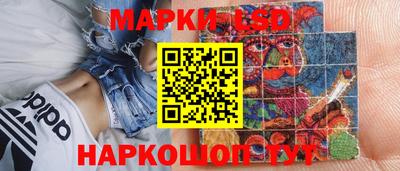 a pvp Новозыбков