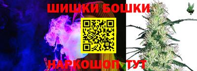 a pvp Новозыбков