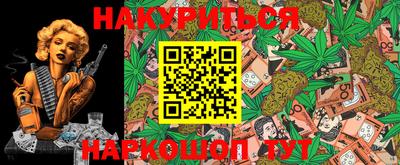 a pvp Новозыбков