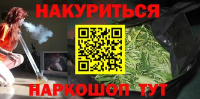 a pvp Новозыбков