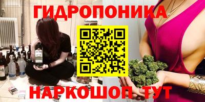 a pvp Новозыбков