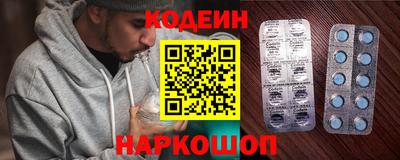 a pvp Новозыбков