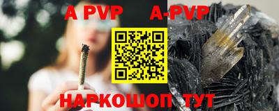 a pvp Новозыбков